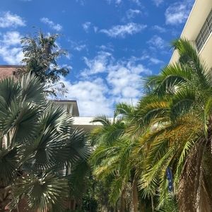 Meet your Posher, Marin